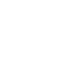 page-icon