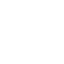 page-icon