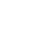 page-icon