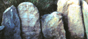 page-icon